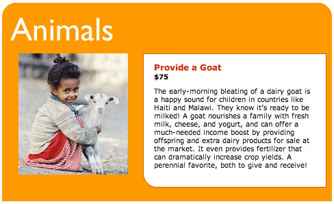 worldvision.jpg