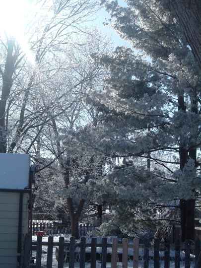 hoarfrost_2_lr.jpg
