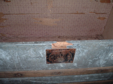 trunk_4