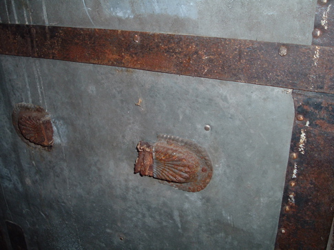 trunk_6