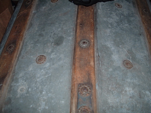 trunk_8