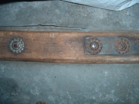 trunk_9
